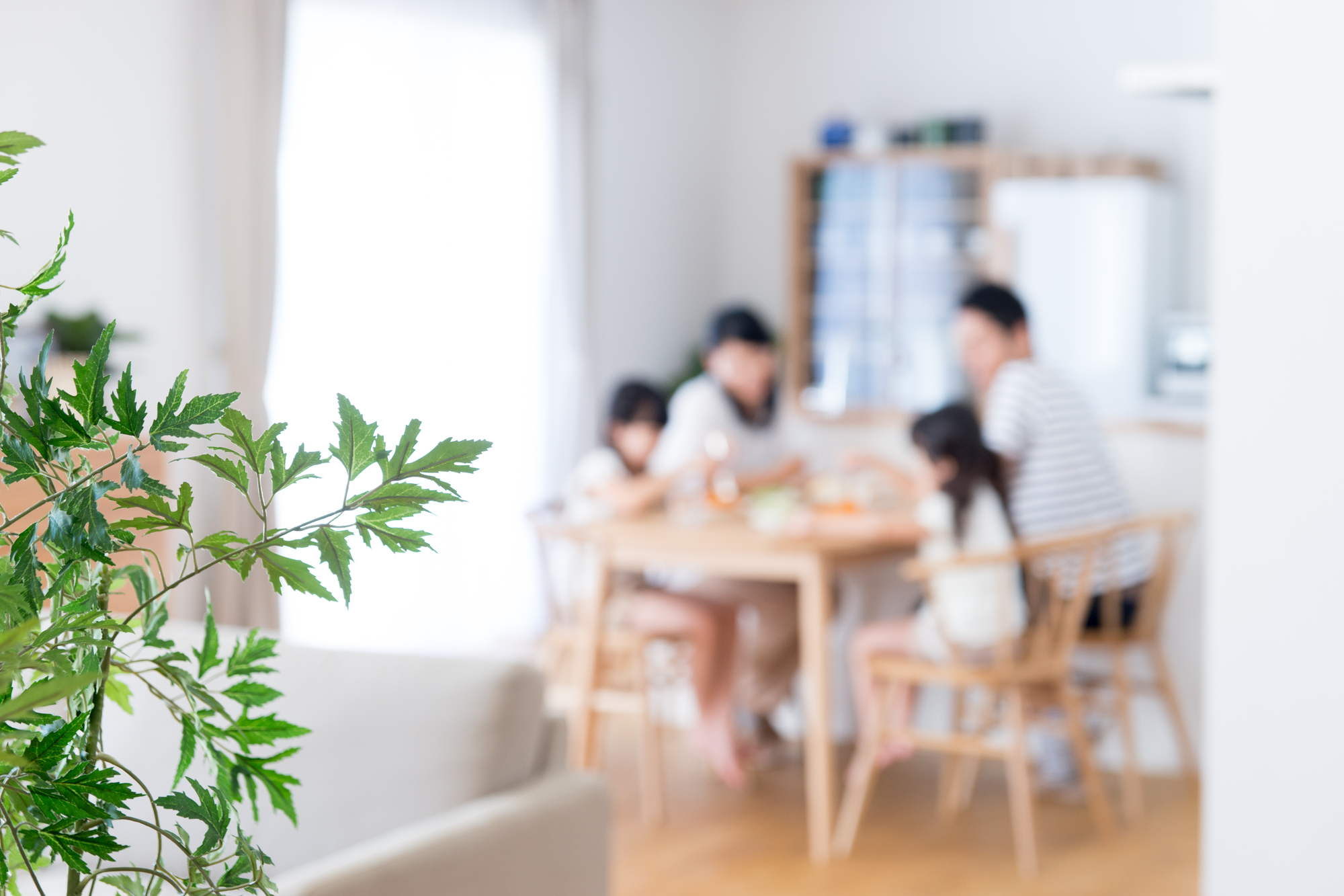 たかが清掃、されど清掃。の写真